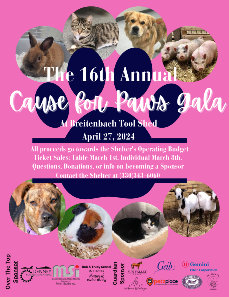 The 16th Annual Cause for Paws Gala Flyer