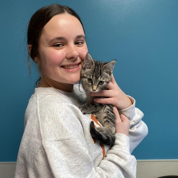 Girl holding striped kitten